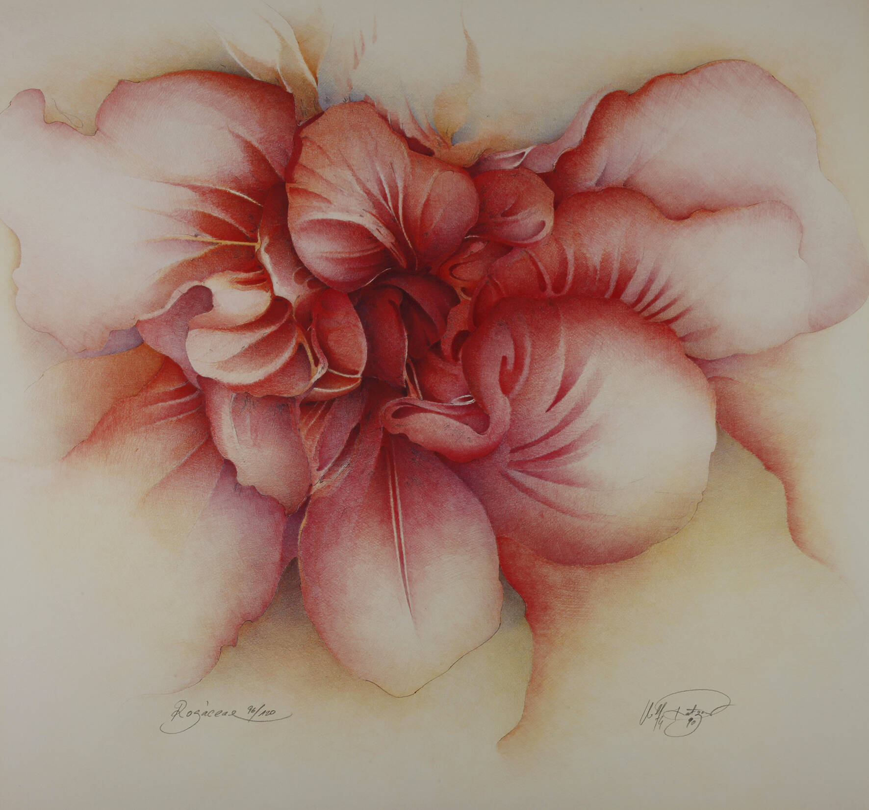 Wolfgang Fratzscher, "Rogáceae"