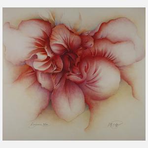 Wolfgang Fratzscher, "Rogáceae"