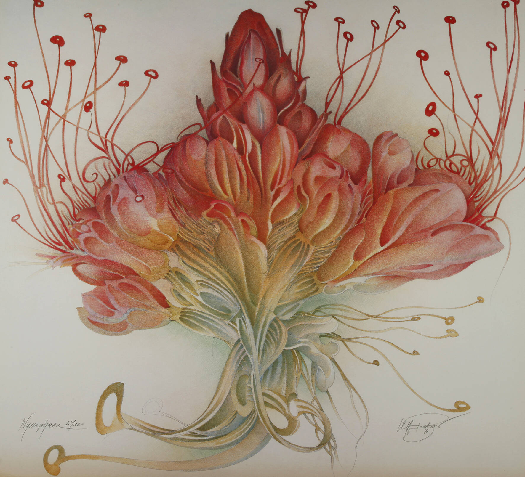 Wolfgang Fratzscher, "Nymphaea"