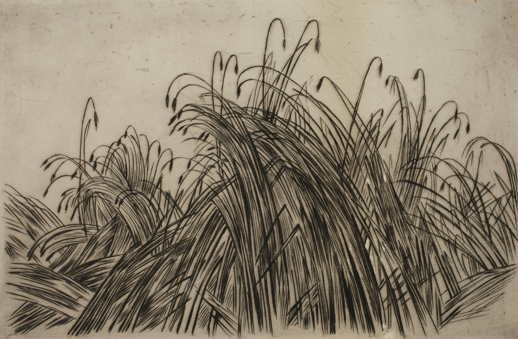 Franz Traunfellner, "Kornfeld"