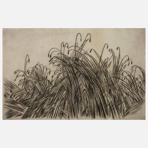 Franz Traunfellner, "Kornfeld"