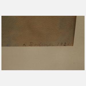 A. Bodmer, In den Bergen