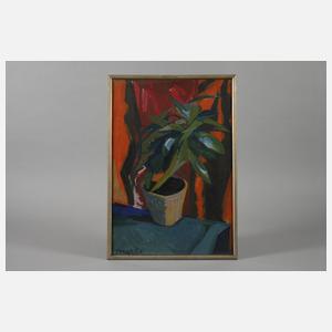 Eckardt, Stillleben mit Pflanze