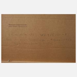 Hermann Frauenknecht, "Spiegelungen und Reflexe"