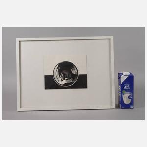 Hermann Frauenknecht, "Spiegelungen und Reflexe"