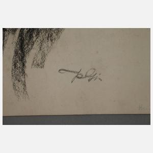 Prof. Kurt Günther, „Wir klagen an!“