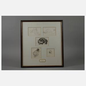 P. Seward, Hundestudien