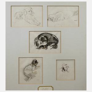 P. Seward, Hundestudien