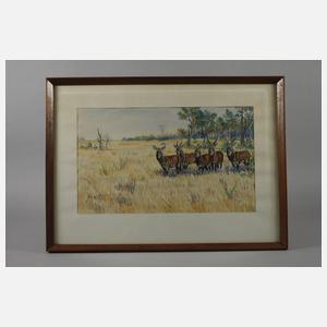 Jürgen v. Wolf, attr., Antilopen