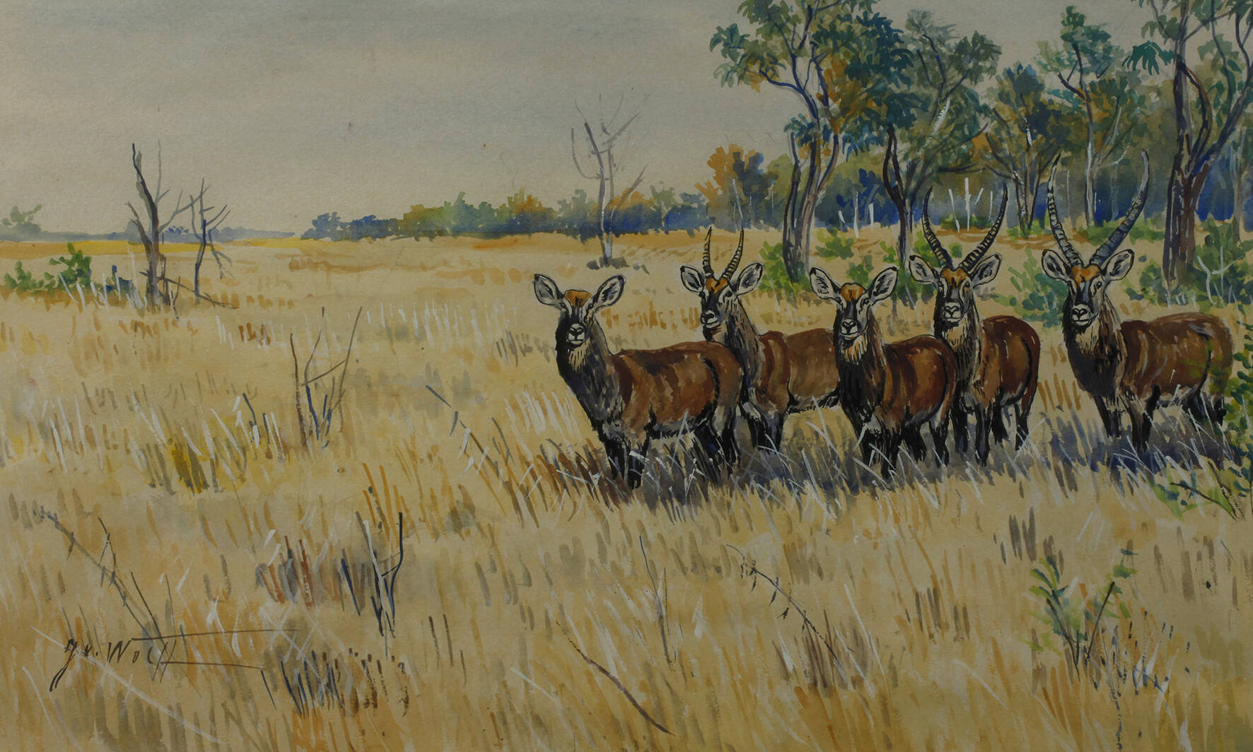 Jürgen v. Wolf, attr., Antilopen