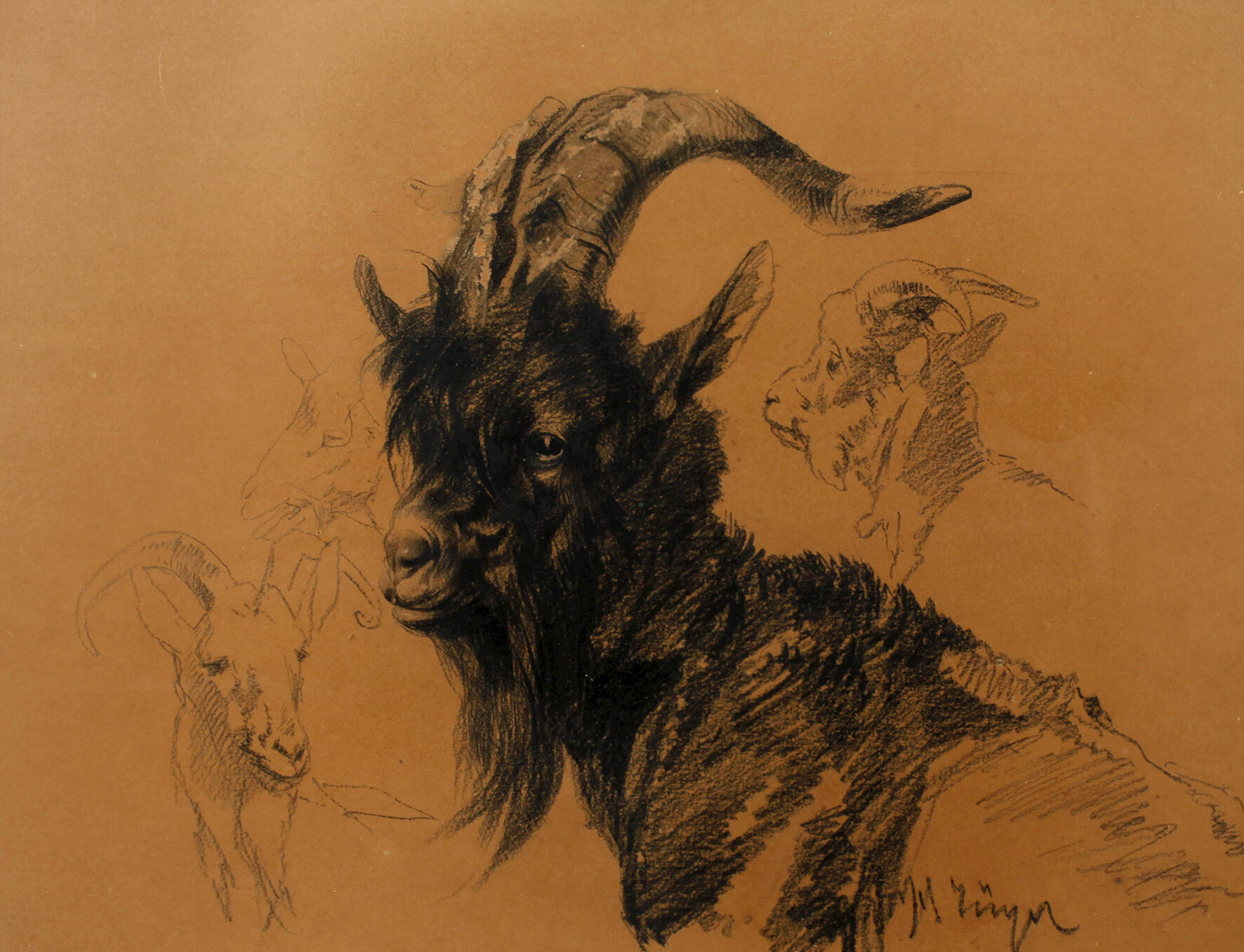 Prof. Heinrich von Zügel, Ziegenbock