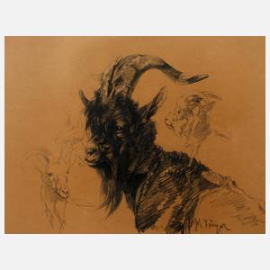 Prof. Heinrich von Zügel, Ziegenbock