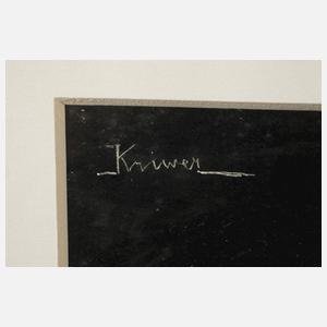 Josef Kriwer, "Ein bemerkenswerter Gedanke"