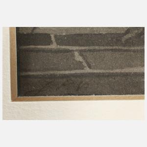 Im Plauenschen Grund bei Dresden