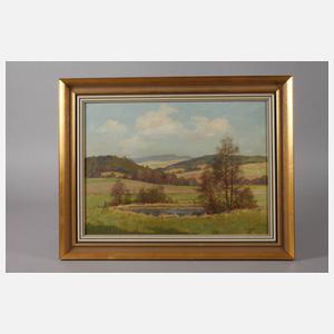 Siegfried Hauffe, Sommer im Vogtland