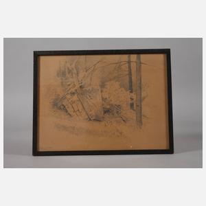 Prof. Hermann Vogel, Felsen im Burgsteingebiet