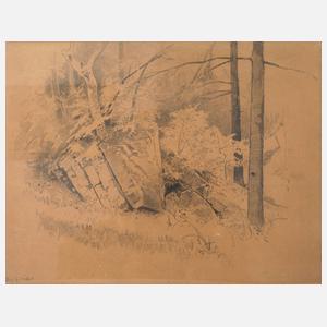 Prof. Hermann Vogel, Felsen im Burgsteingebiet