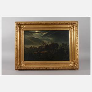 Alois Stoff, Rotwild