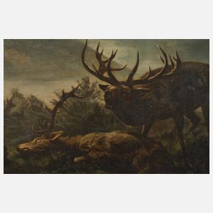 Alois Stoff, Rotwild