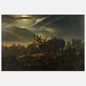 Alois Stoff, Rotwild