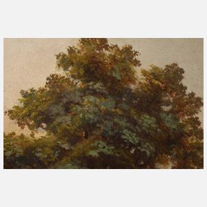 Fr. Truijens, Mühle im Gebirge