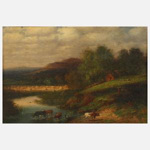 Kühe an der Tränke