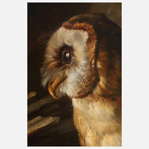 Vanitasstillleben mit Eule