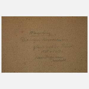 Hans Borgmann, "Masserberg – Die letzten Herrenhäuser"