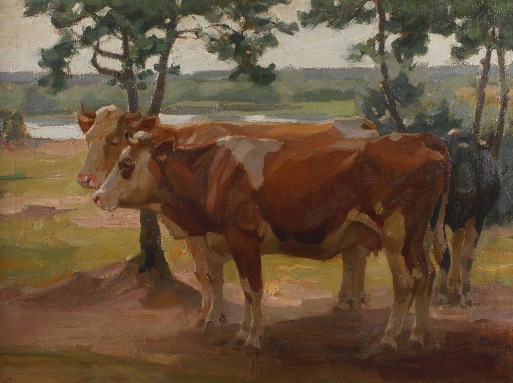 Franz Elmiger, "Kühe im Freien"