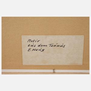 Erwin Haug, "Motiv aus dem Taunus"