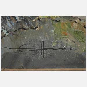 Ewald Hess, Berghütte im Sonnenlicht