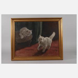 Prof. Arthur Heyer, Angorakatzenkinder