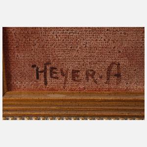 Prof. Arthur Heyer, Angorakatzenkinder