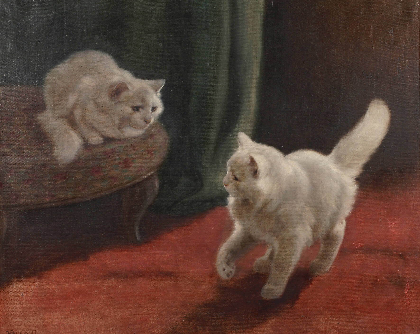 Prof. Arthur Heyer, Angorakatzenkinder