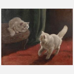 Prof. Arthur Heyer, Angorakatzenkinder