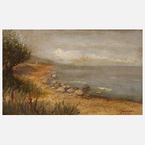 Laurits Larsen, An der Küste