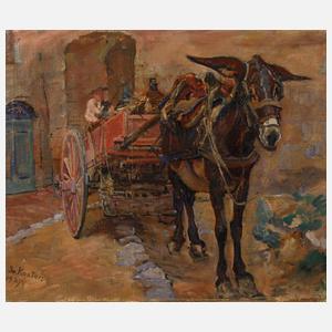 Jo Koster, Sizilianischer Eselskarren