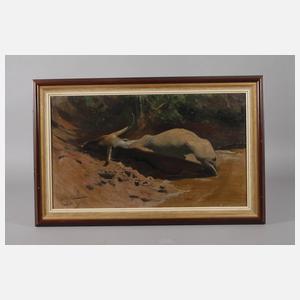 Wilhelm Kuhnert, Wasserbüffel in der Suhle