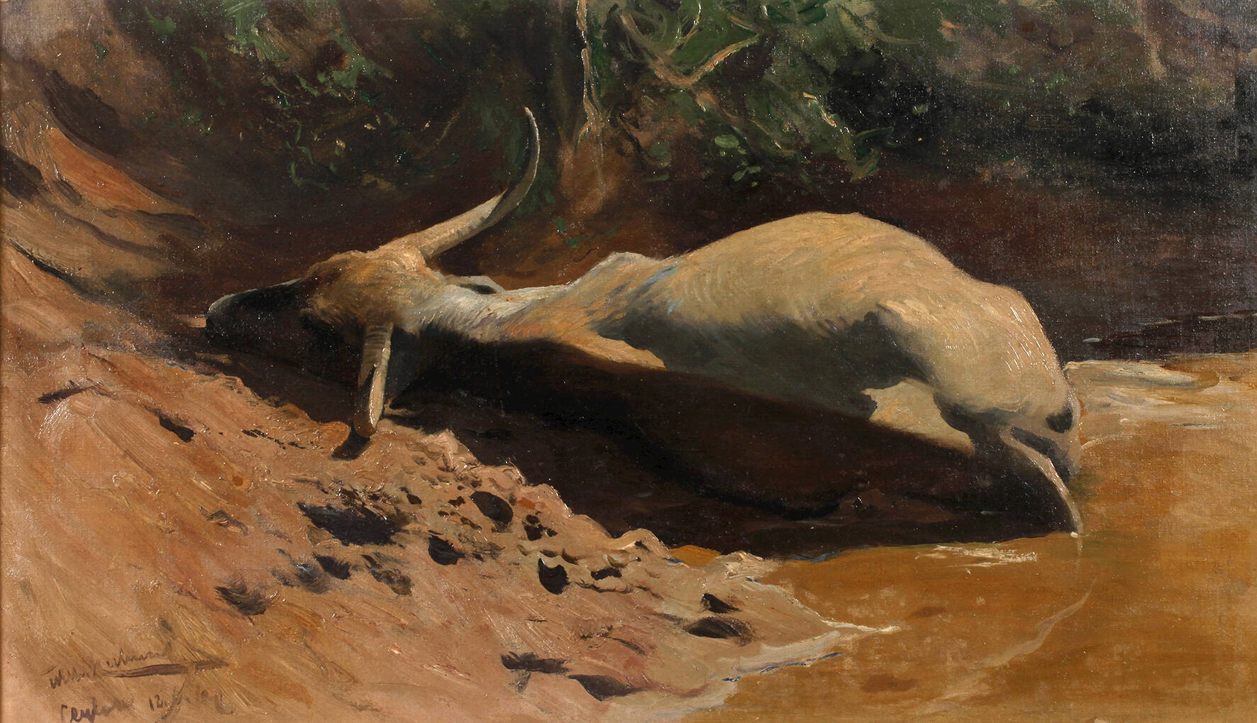 Wilhelm Kuhnert, Wasserbüffel in der Suhle