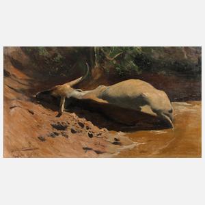 Wilhelm Kuhnert, Wasserbüffel in der Suhle
