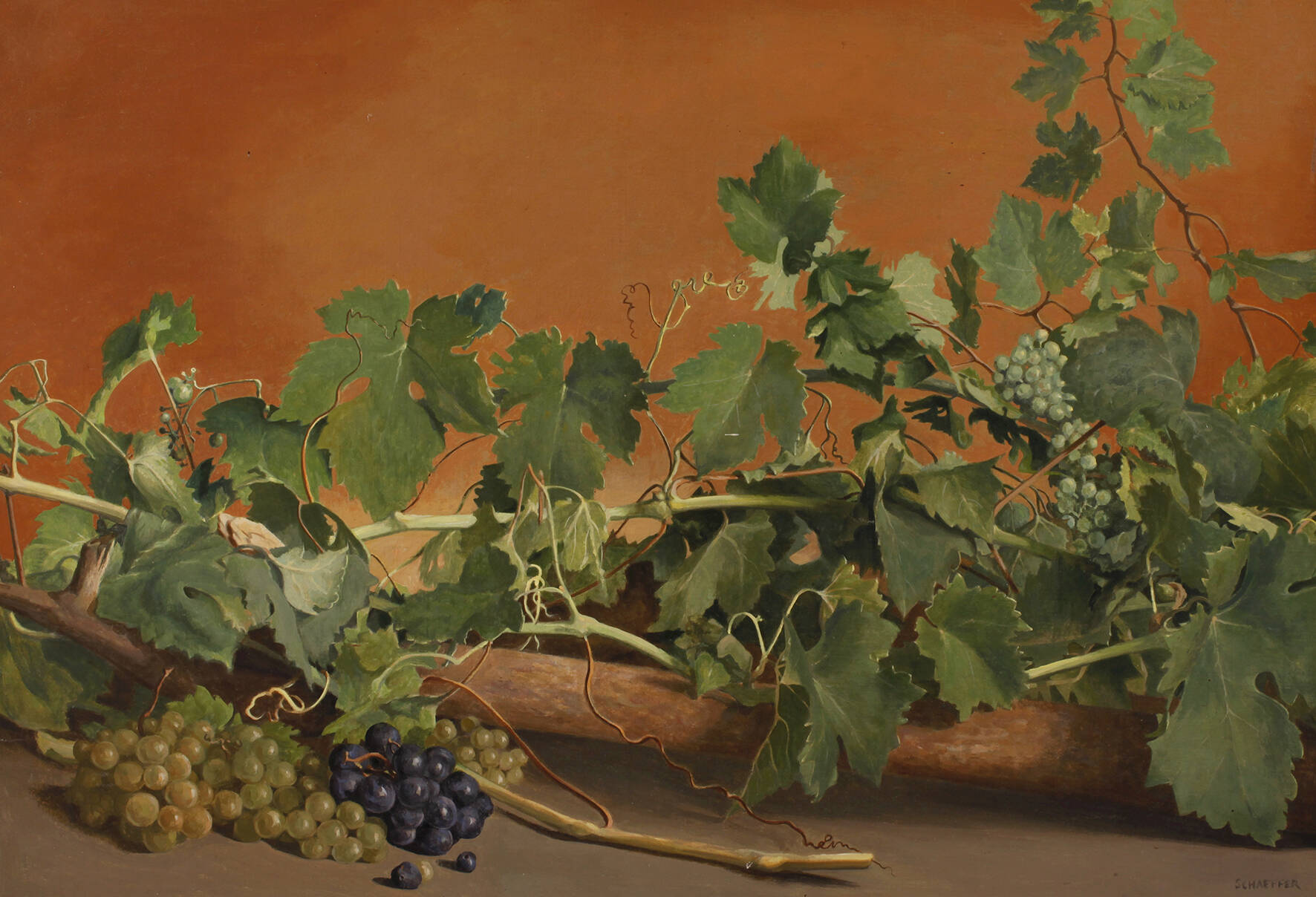 Schaeffer, Stillleben mit Wein