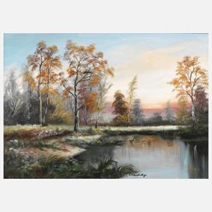 Rudi Schneiderbanger, Abend am Waldsee