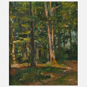 Gustav Schraegle, Waldinneres