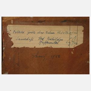 Herrmann Schrey, In der Pretulalpe