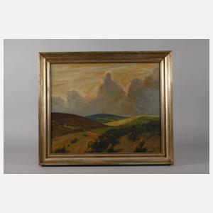 Werner Vogel, Ginsterblüte in der Eifel