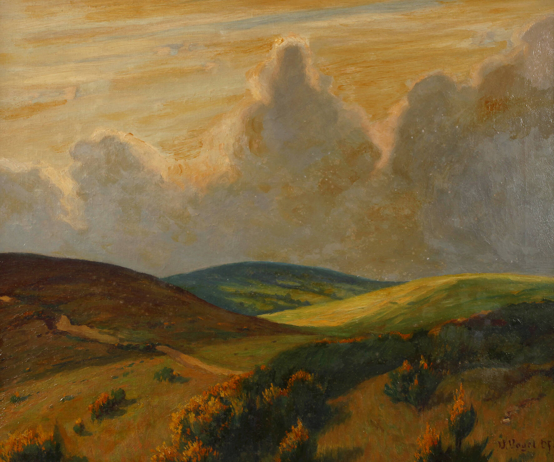 Werner Vogel, Ginsterblüte in der Eifel