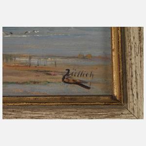 Andor Züllich v. Züllborn, Bensersiel