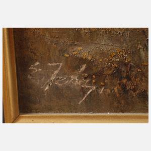 Mittelgebirgslandschaft