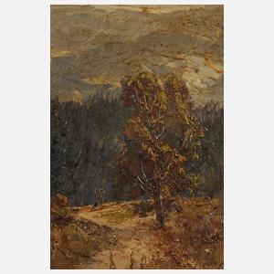 Mittelgebirgslandschaft