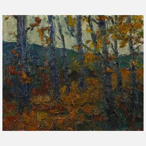 Herbstliche Baumallee